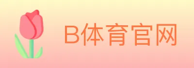 B体育官网 logo